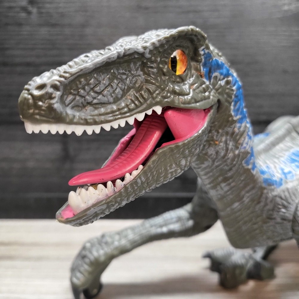 Remote Controlled Raptor No Remote! Tested! - Picture 3 of 16